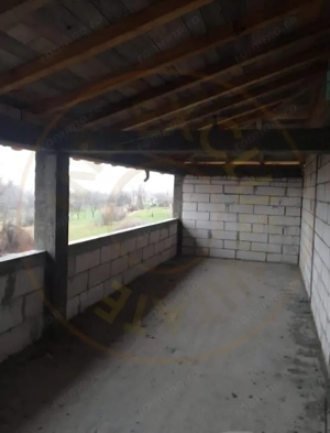 CASA LUNGANI-VEDEA! - imagine 8