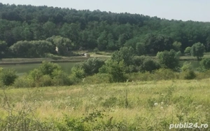 Sofimob Team  Teren Paleu  - imagine 5