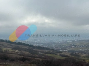 Teren extravilan 1000 mp, Valea Fanațelor - imagine 5