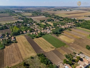 Casa 4 camere de Vanzare - imagine 9