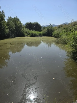 teren extravilan cu balta de 1500mp