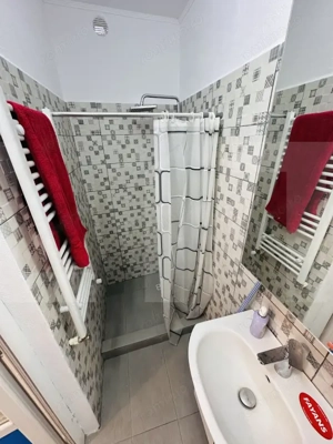 Apartament la casa, 40 mp, Andrei Saguna - imagine 6