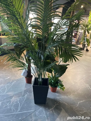 Vindem plante ornamentale si garduari verticale