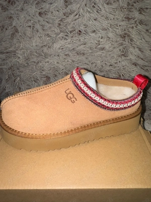 Ugg Tazz Maro NOI
