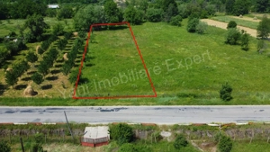 Teren de vânzare în comuna Domnești, județ Argeș. - imagine 3