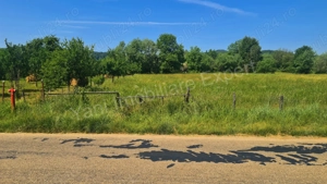 Teren de vânzare în comuna Domnești, județ Argeș. - imagine 14