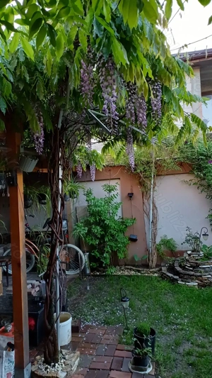 proprietar vila 3 camere 2 bai Chitila langa parc - imagine 10