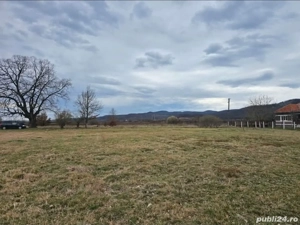 Teren Intravilan, 3300 m cu 46 front stradal - imagine 4