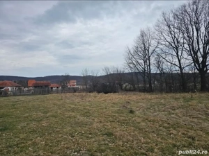 Teren Intravilan, 3300 m cu 46 front stradal - imagine 5