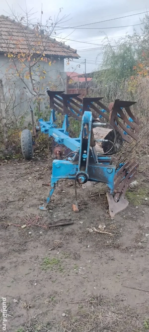 vând puguri - imagine 1