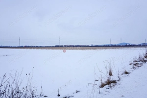 Teren Intravilan - Pretabil Investitie - imagine 3