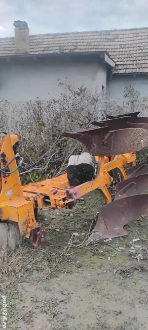 vând puguri - imagine 4