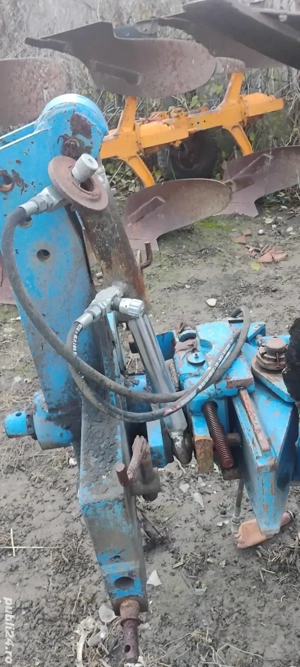 vând puguri - imagine 6