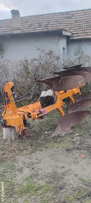 vând puguri - imagine 5