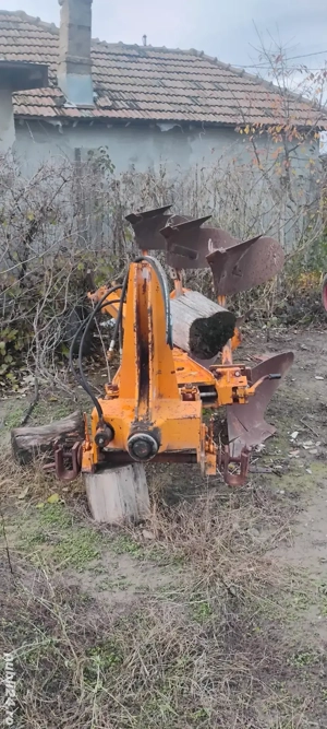 vând puguri - imagine 7