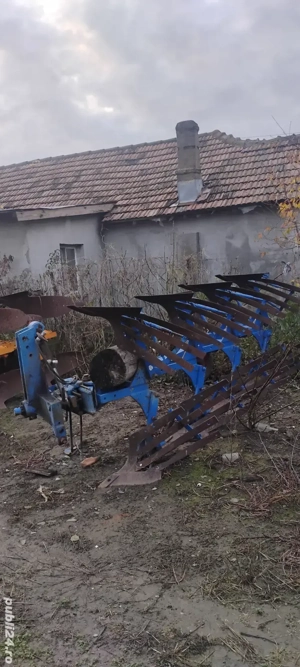 vând puguri - imagine 9