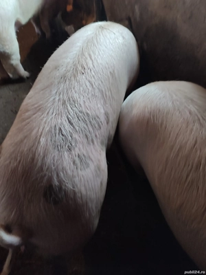 De vanzare - imagine 5