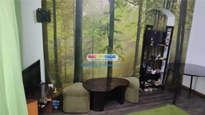 Apartament 3 camere Brancoveanu  Alunisului | 10 min. metrou - imagine 12