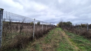 Vânzare loturi teren intravilan – 6.524 mp, cartier Iezureni, Târgu Jiu - imagine 6