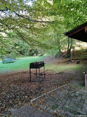Închiriez casa in Floresti la marginea padurii  - imagine 3