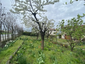 Vand casă spațioasă cu teren generos   Sat Mineri, Somova, jud. Tulcea - imagine 9