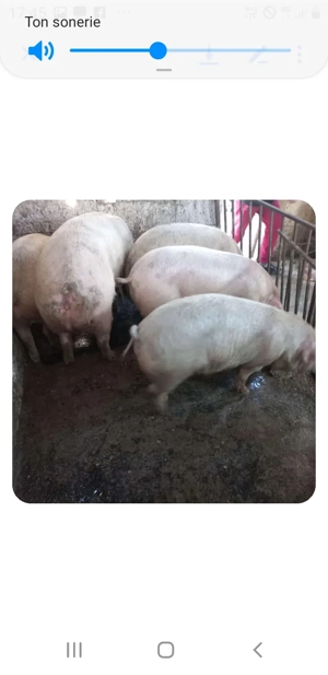 20 10 2025 - imagine 3