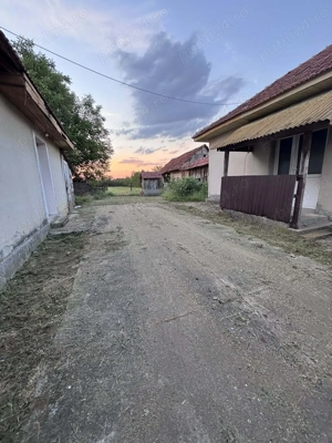 Vand casă 3 camere plus anexă 