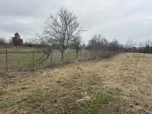 Vand casă 3 camere plus anexă  - imagine 5