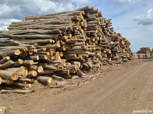 Lemne de foc Fag - imagine 5