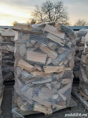 Lemne de foc Fag - imagine 3