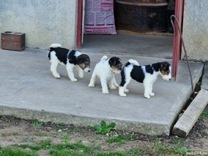 Disponibil - imagine 3