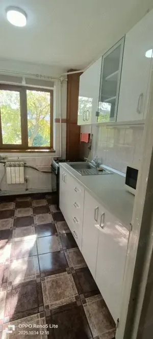 Apartament cu 3 camere   zona N. Balcescu   etaj 3   confort 1   Pret: 79.000  neg.  - imagine 4