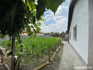 Casa si teren 1785mp   comuna Merei BZ   renovata recent   SC 170mp   Pret: 85.000  neg  - imagine 5