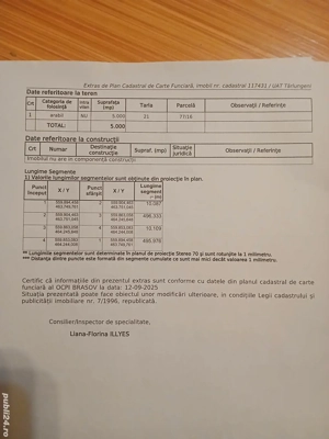 Teren extravilan în Cărpiniș - imagine 2