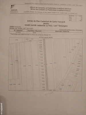 Teren extravilan în Cărpiniș