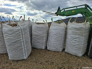 Cartofi neselectati ambalati la big bag de 1200 kg - imagine 4