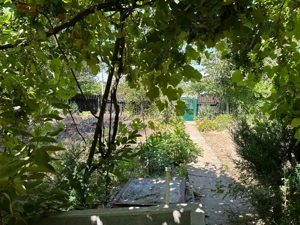 Casa batraneasca de vanzare, Oltina, Constanta, teren 1100mp, aproape de Dunare - imagine 6