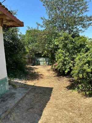 Casa batraneasca de vanzare, Oltina, Constanta, teren 1100mp, aproape de Dunare - imagine 8