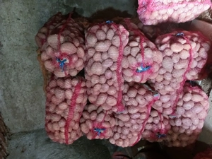 Vând cartofi de consum 