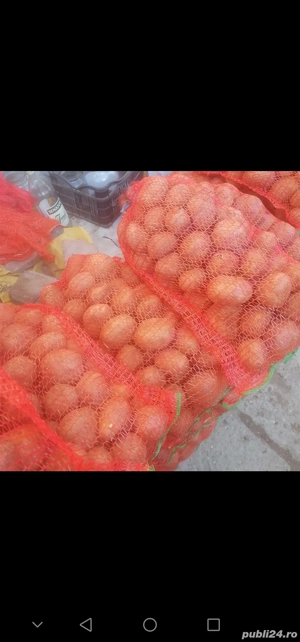 Vând cartofi de consum albi și roșii 