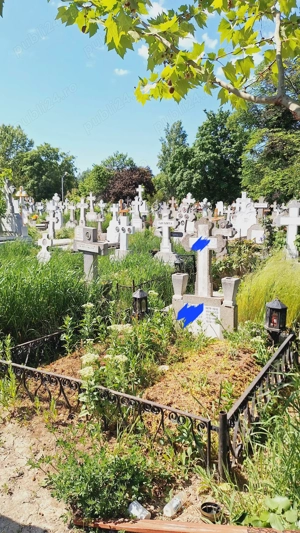 concesionez loc de veci Ghencea civil