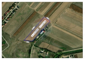 Teren intravilan de vânzare, 11.600 mp – Tărian, Girișul de Criș