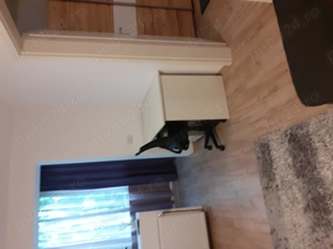 Proprietar inchiriez, ap 2 camere  - imagine 8