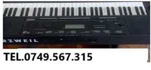 Orga cu acompaniament