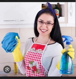 Cautam Femeie serviciu menajera (part time program flexibil) pers. curatenie intretinere cladire 900 - imagine 2