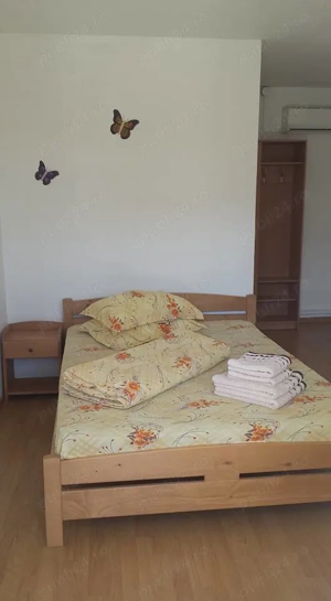 Casa de vacanta superba in Delta Dunarii - imagine 4