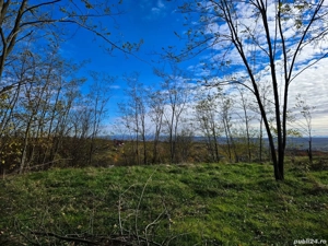 Vând teren extravilan pe Gheorghe Doja - imagine 4