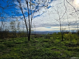 Vând teren extravilan pe Gheorghe Doja - imagine 3