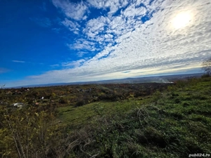 Vând teren extravilan pe Gheorghe Doja - imagine 2