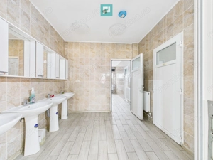 Teren 9.419 mp + hale 7.000 mp – Huși, Vaslui - imagine 12